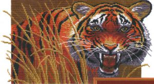 654 - Тигр на охоте