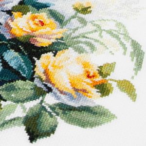 70-08 - Садовые розы