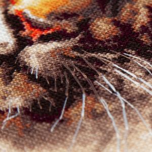 70-21 - Благородный тигр