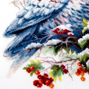 70-24 - Полярный гость