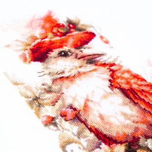 70-30 - Алый жакет