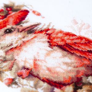 70-30 - Алый жакет