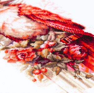 70-30 - Алый жакет