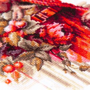 70-30 - Алый жакет