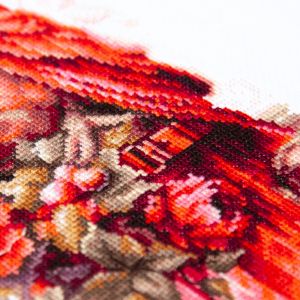 70-30 - Алый жакет