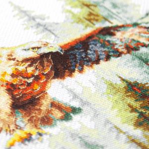 70-48 - Хранитель гор