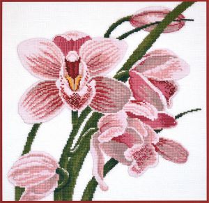 762 - Зов орхидеи