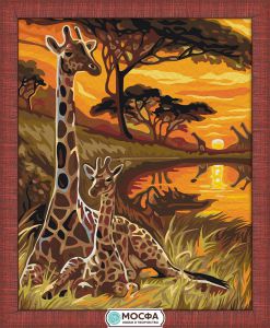 7C-0068 - Жирафы