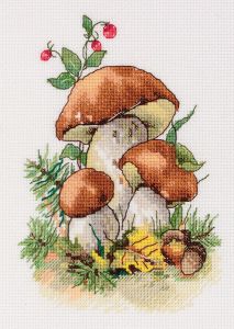 8-516 - Белые грибы