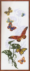 903 - Экзотические бабочки