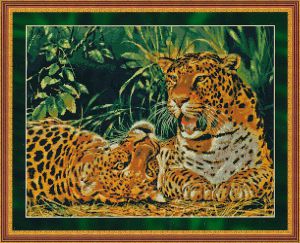 98197 - Играющие леопарды
