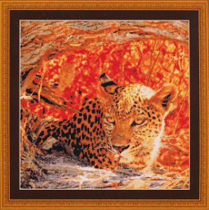 98437 - Затаившийся леопард
