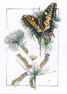 PN-0021620 - Рождение бабочки