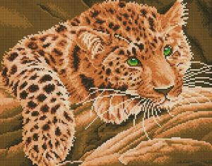a204 - Африканский леопард