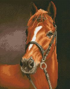 a206 - Каштановая лошадь