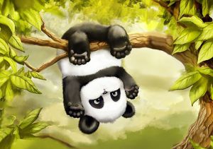 ag005 - Маленькая панда