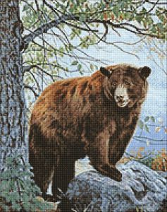 ag085 - Бурый медведь