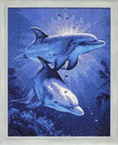 ag115 - Свидание дельфинов