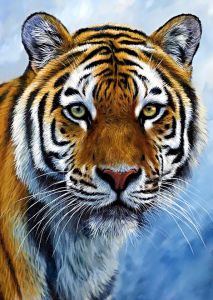 ag2311 - Спокойствие тигра