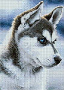 ag243 - Снежный пес