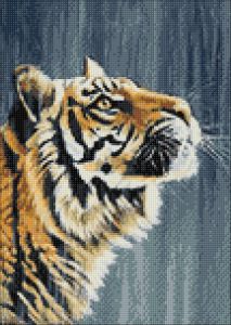 ag250 - Индийский тигр