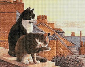ag336 - Коты на крыше