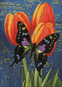ag3436 - Бабочка на тюльпанах