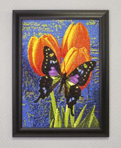 ag3436 - Бабочка на тюльпанах