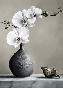 ag4643 - Белая орхидея