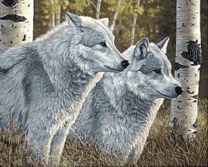 Ag2570 - Лесные волки
