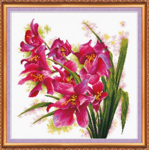 ah-003 - Лиловые орхидеи