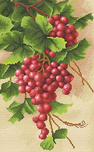 ALV-1-003 - Сочный виноград