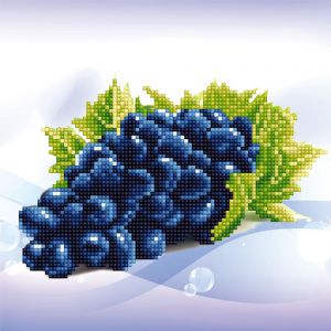 ALV-5-006 - Виноград