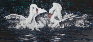 ALVR-22-012 - Белые лебеди