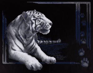 ALVR-26-018 - Тигр
