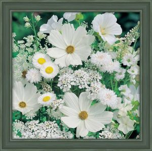 АЖ-1195 - Белые полевые цветы