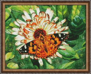 АЖ-1205 - Бабочка на цветке