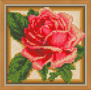 АЖ-1450 - Румяная роза