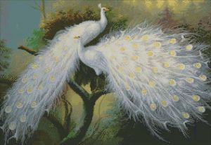 АЖ-166 - Пара павлинов