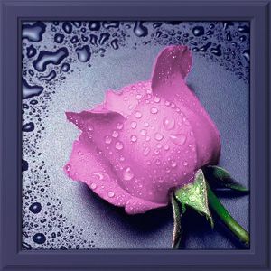 АЖ-17 - Розовая роза