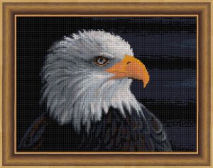 АЖ-1714 - Белоголовый орлан