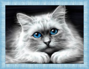 АЖ-1761 - Голубоглазая кошка