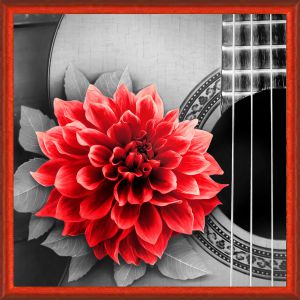 АЖ-1772 - Цветок на гитаре