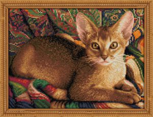 АЖ-1778 - Абиссинский кот
