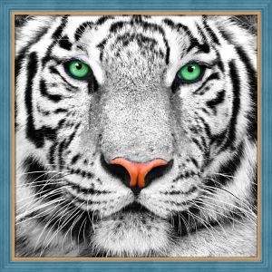 АЖ-1788 - Портрет белого тигра