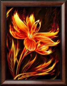 АЖ-1852 - Огненный цветок