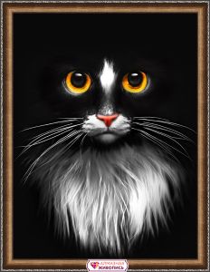 АЖ-1899 - Черный кот