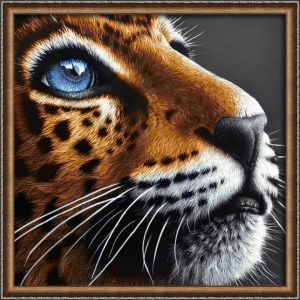 АЖ-4022 - Синеглазый леопард