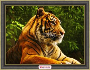АЖ-4133 - Золотой тигр