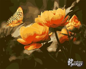 B034 - Бабочки и жарки